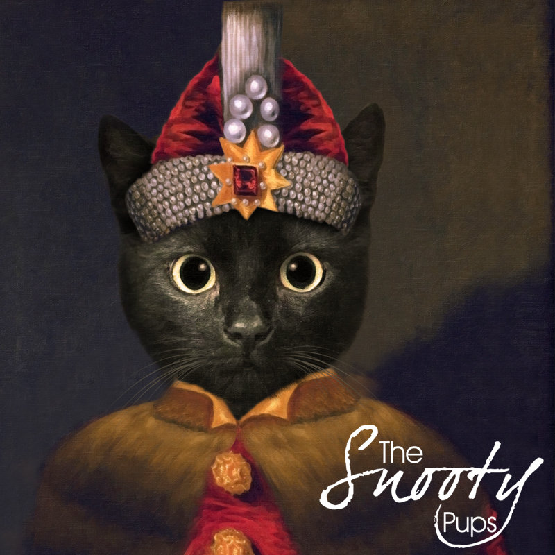 Dracula Black Cat Print - Pet portraits in costume
