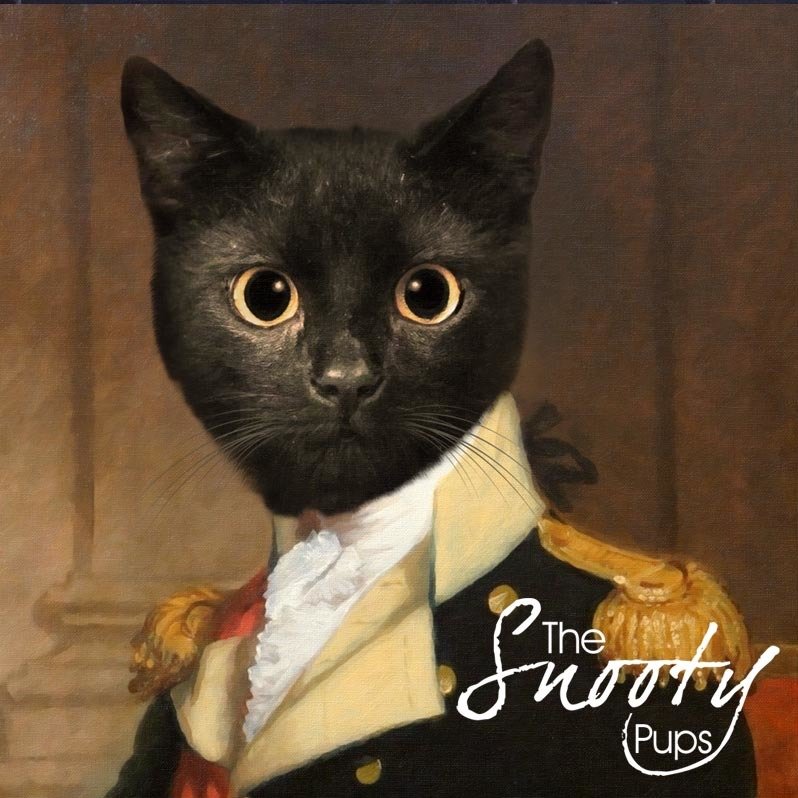 Military Cat Portrait - Pet portraits in costume - pet portraits in uniform