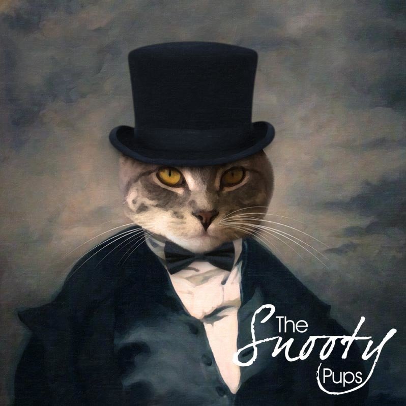 Cat in a suit and hat - Mr Stogy