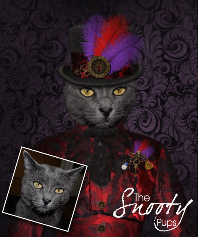 Steampunk Cat Portrait