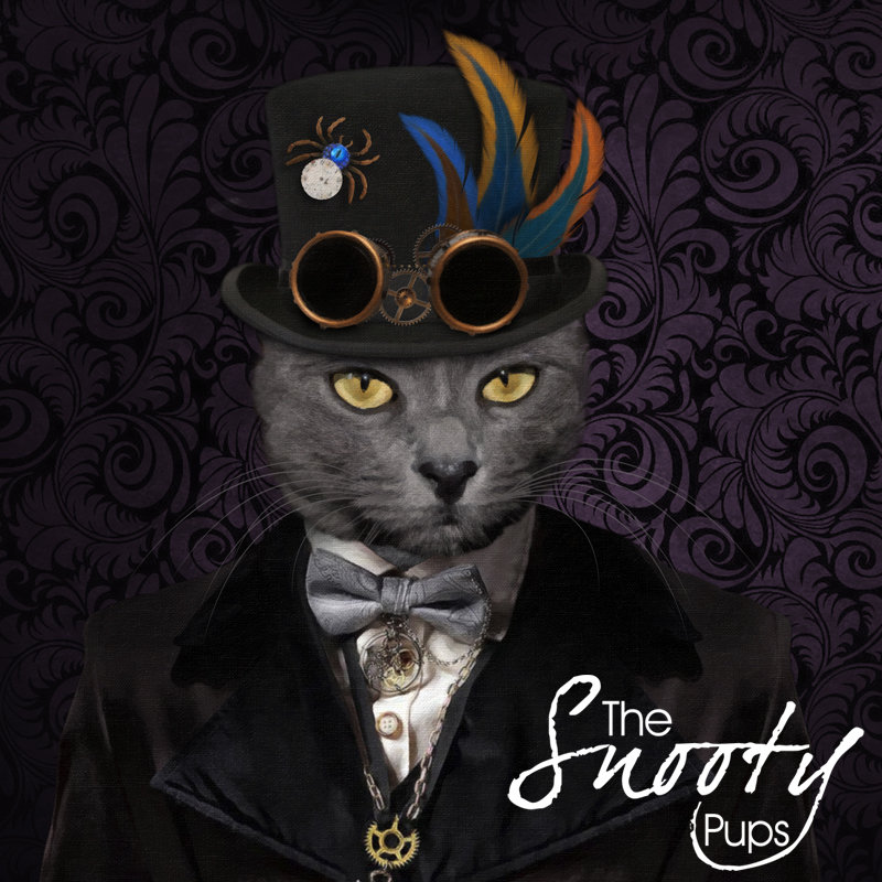 Steampunk Cat Portrait