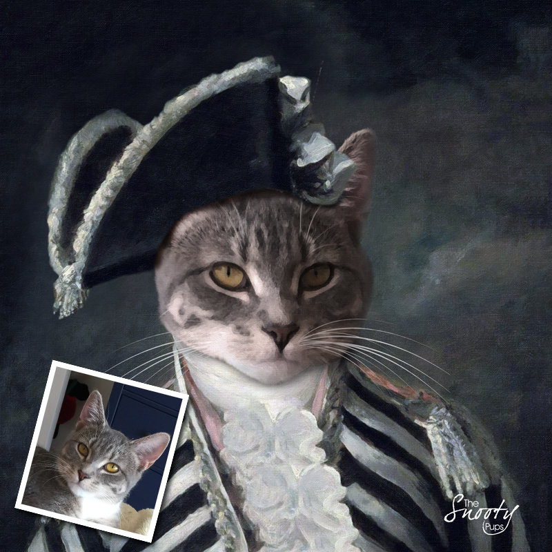 Victorian Cat Portrait