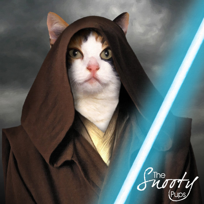 Star Wars Cat Portrait