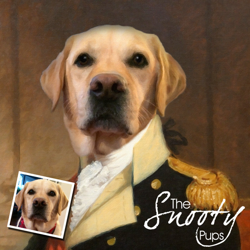 Military Dog Portrait - pet portraits in uniform