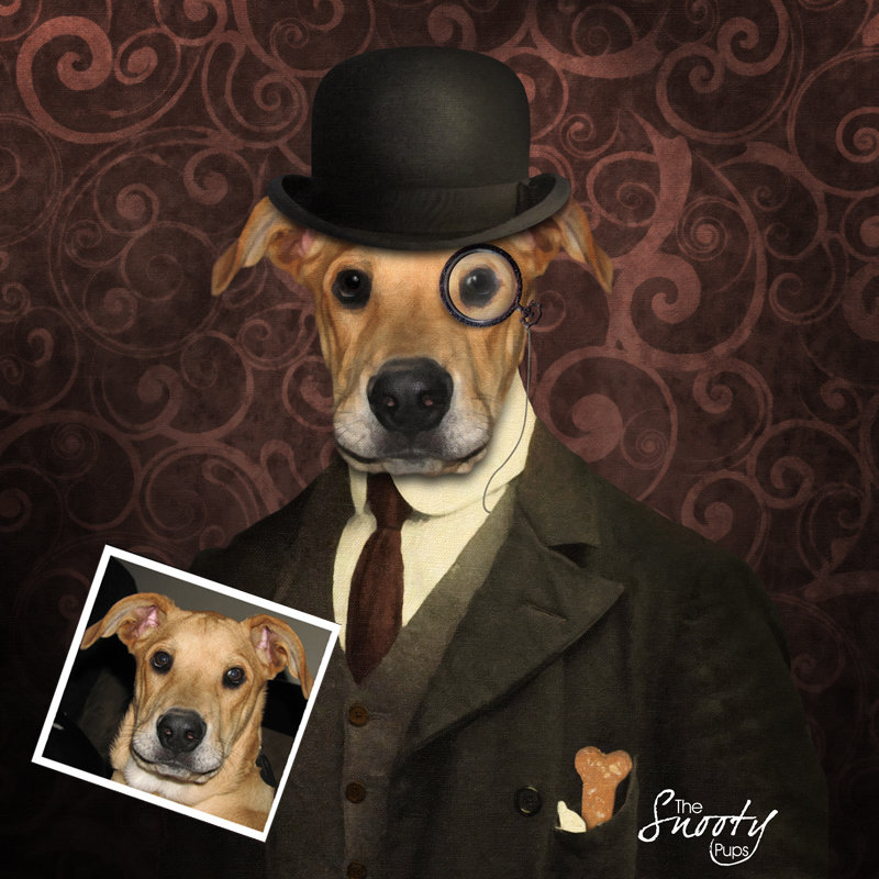 Vintage Dog Portrait From Photo - Bowler Hat
