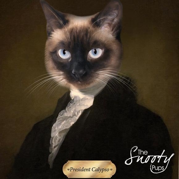 Cat Portrait President - Pet portraits in costume