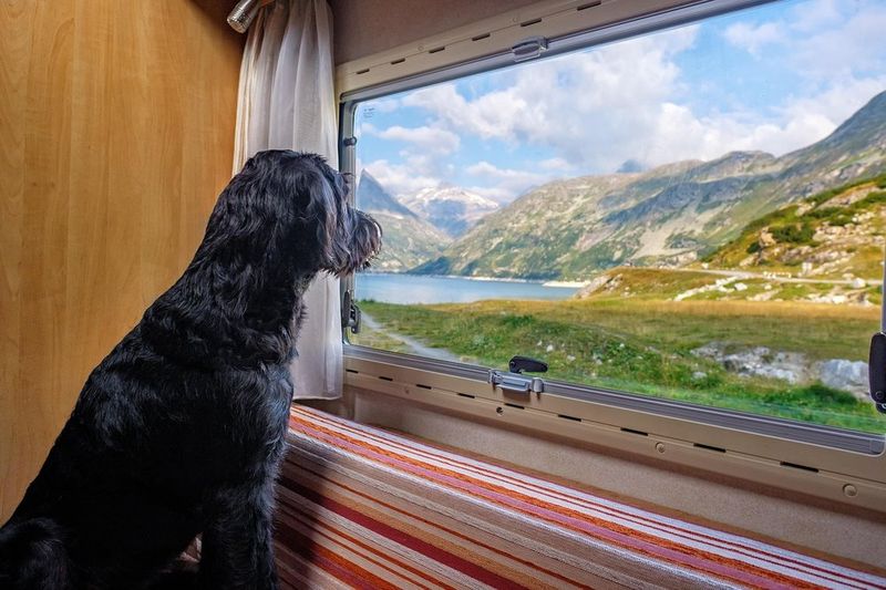 🌲 Camper-Edition - textile Begleiter für unterwegs