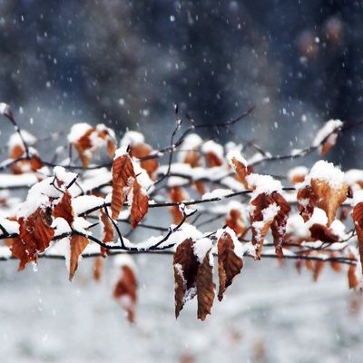 Winter – ruhig &amp; reduziert