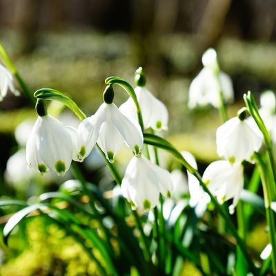 Frühling – leicht &amp; im Aufbruch