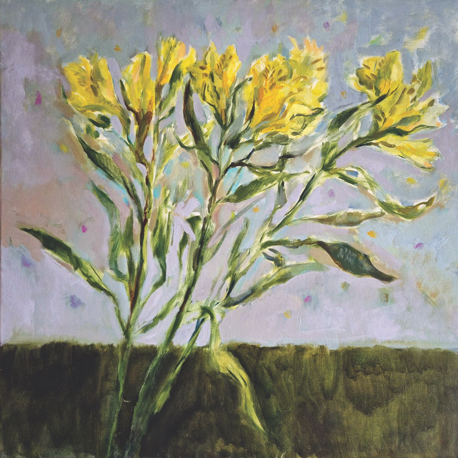 Yellow Alstroemeria