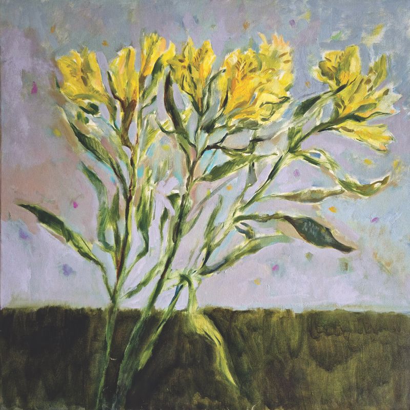 Yellow Alstroemeria