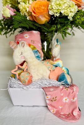 Congats on the New Baby + Flower Arrangement Basket