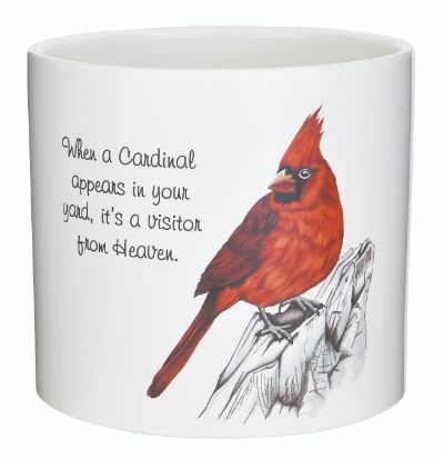 6.25&quot; White Cardinal Ceramic Pot