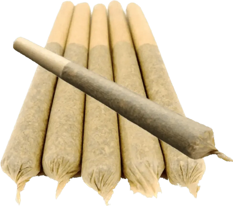 Indoor Preroll