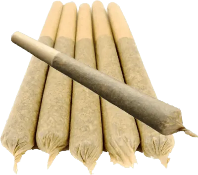 Indoor Preroll