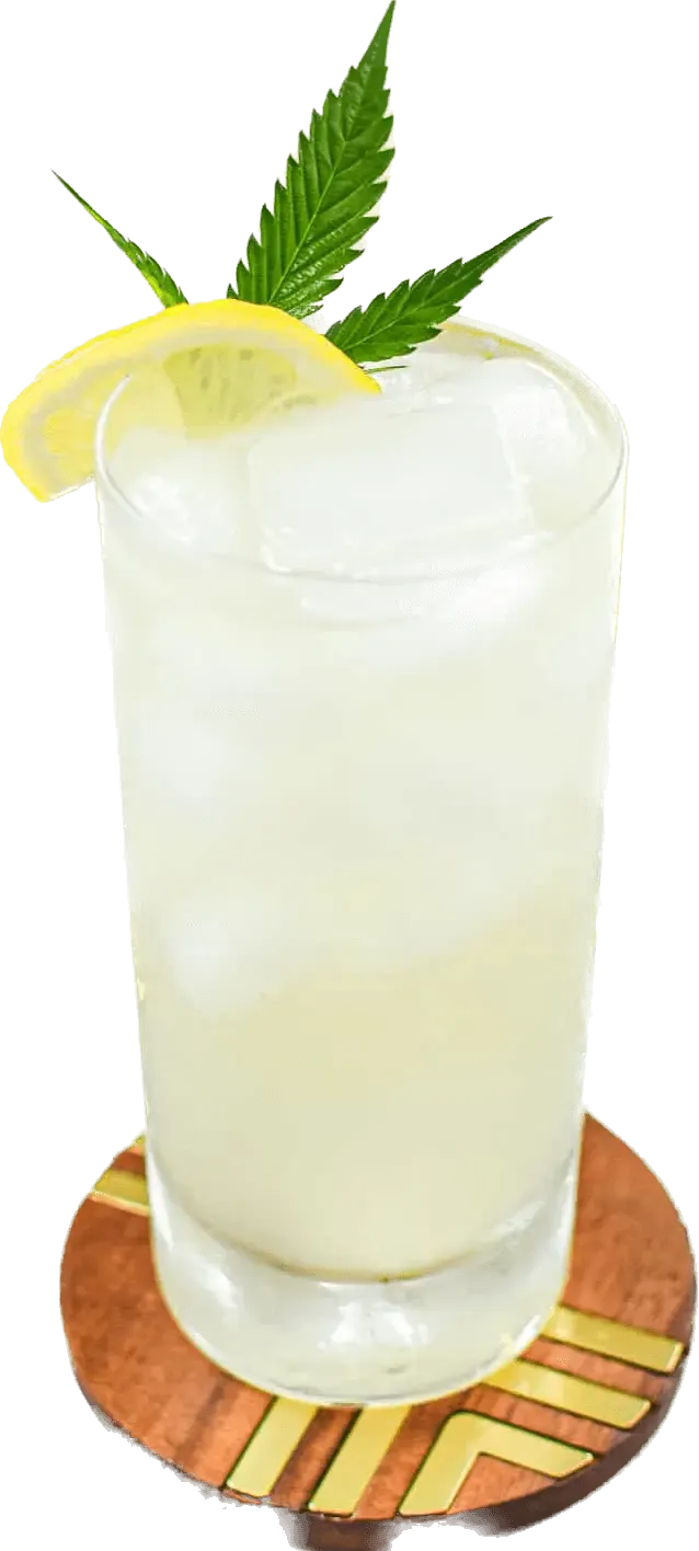 Infused Ice Tea &amp; Lemonade