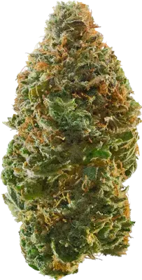 Apple Jax - Sativa
