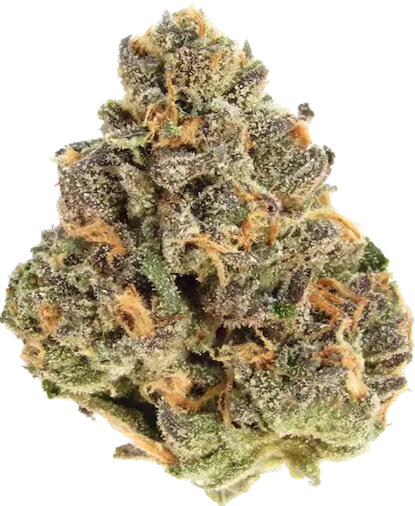 Passion Fruit 
