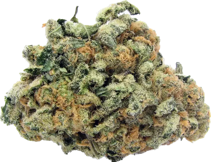 Girl Scout Cookies - Indica Hybrid