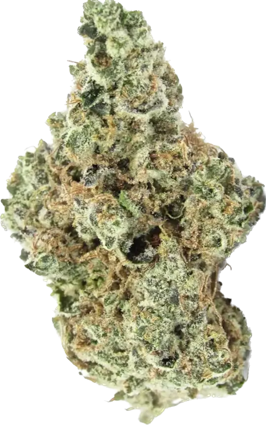 Wedding Cake - Indica Hybrid