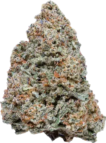 MAC 1 - Hybrid