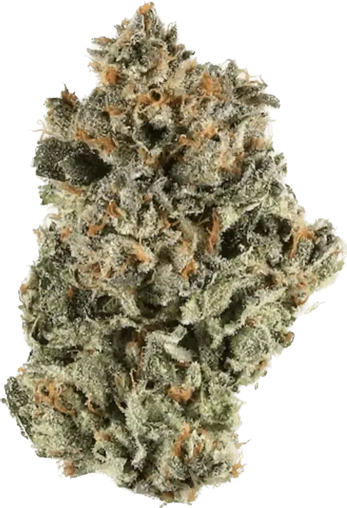 Platinum Kush - Indica