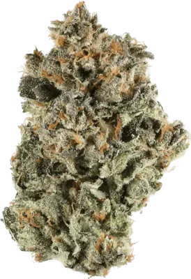 Platinum Kush - Indica