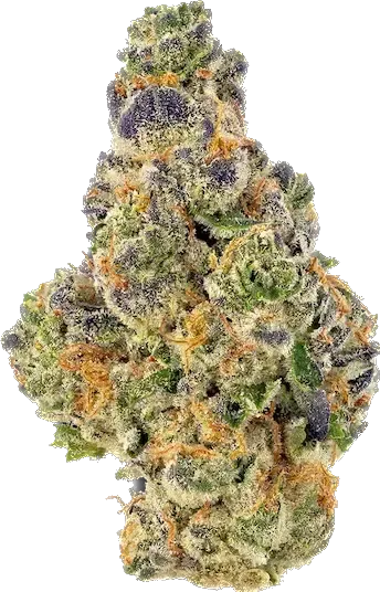 Gumbo - Indica