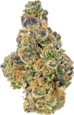 Gumbo - Indica