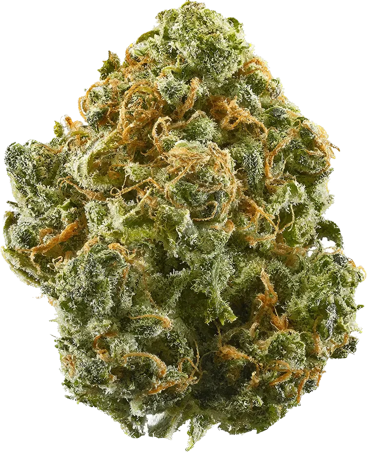 BLUE DREAM