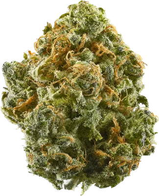 BLUE DREAM