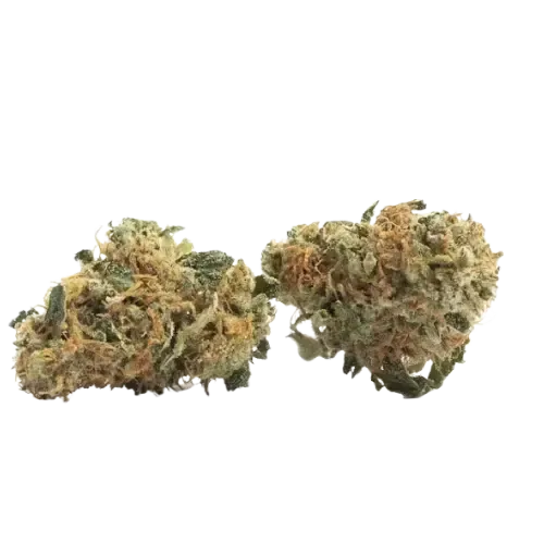 Candle Gelato