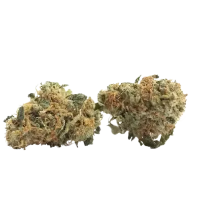 Candle Gelato
