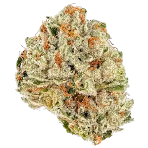 Lemon Fritz