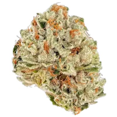 Lemon Fritz