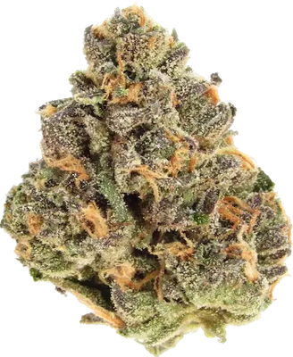 Apples &amp; Bananas - Hybrid