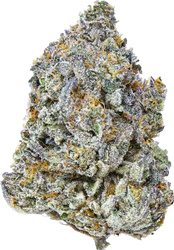 Gelato Bubble Gum Gelato Bubble Gum