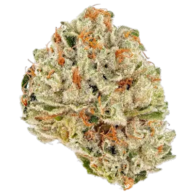 CANDY 🍭 GELATO 🍧