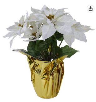 Holiday Fundraiser- White Poinsettia