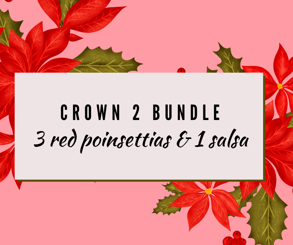 Holiday Fundraiser- Crown 2 Bundle