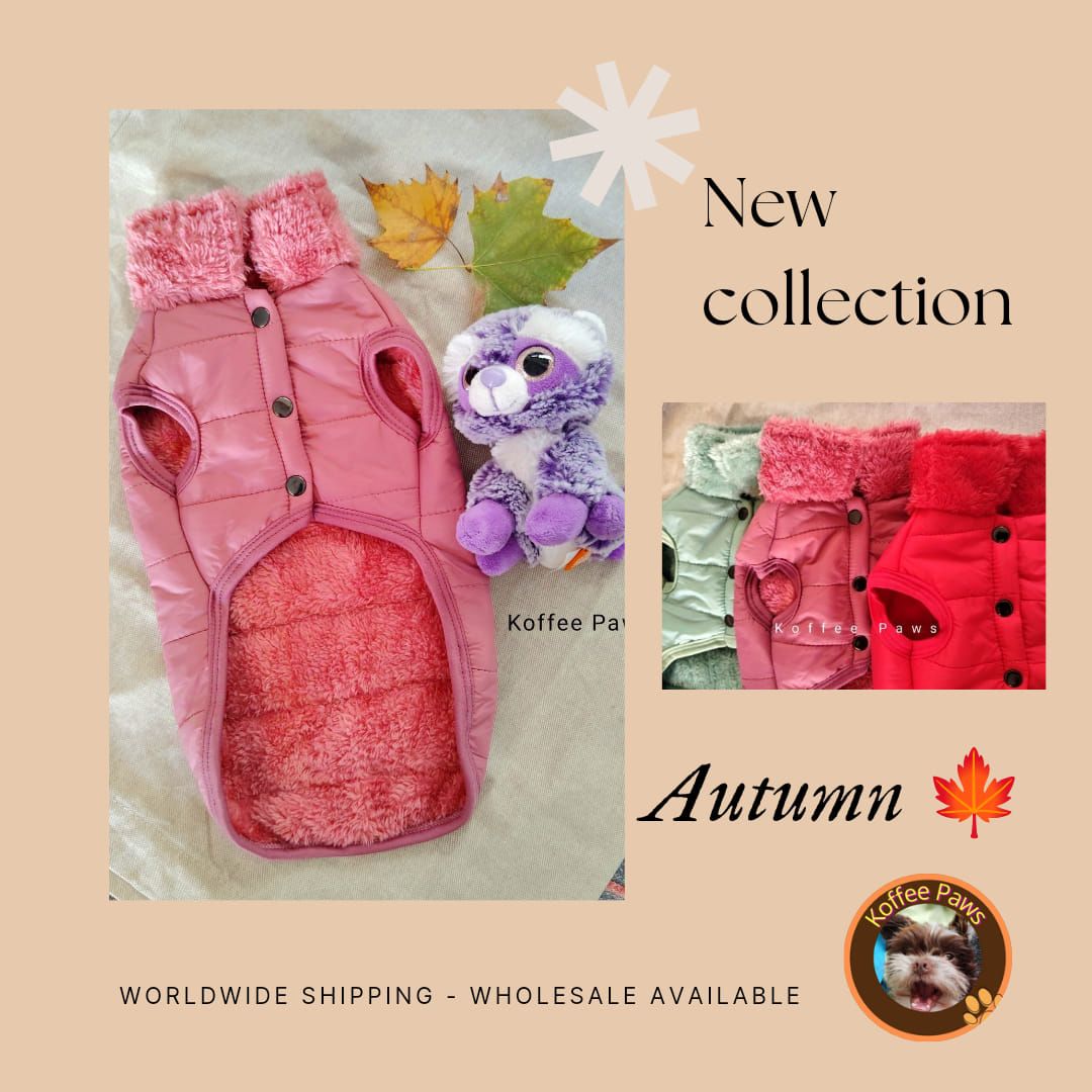 12 UNID Koffee Jackets. IVA INCLUD + DELIVERY. 12 Koffee Jackets. TAX INCLUD + DELIV IN SPAIN.