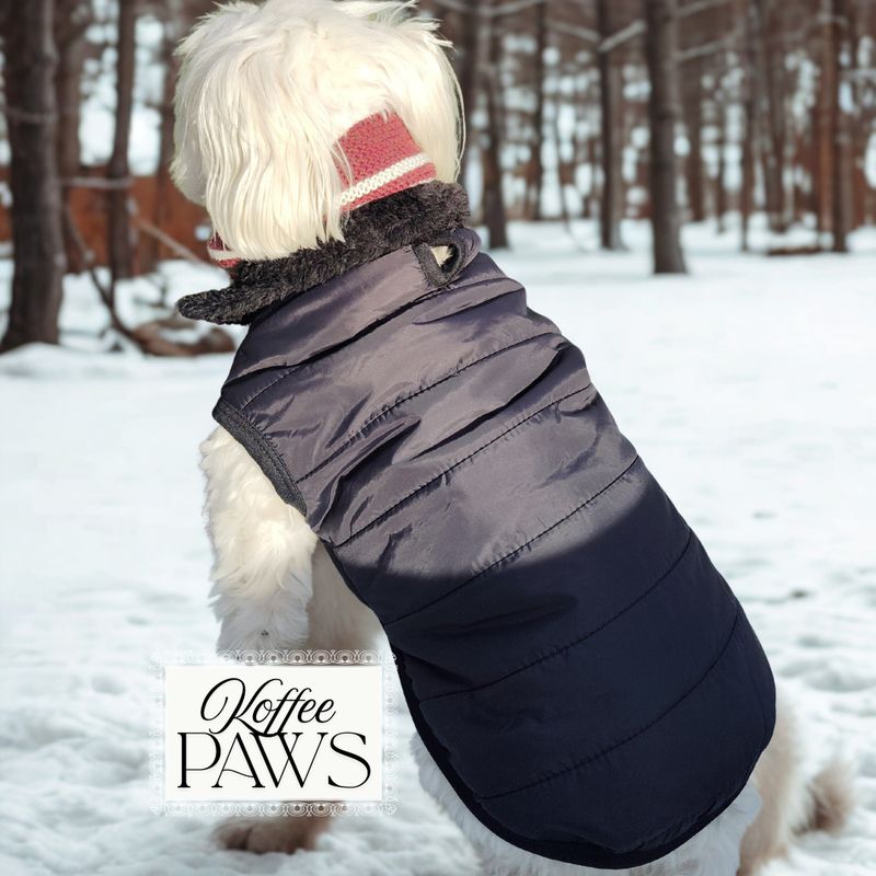 Fall-Winter KOFFEE JACKETS