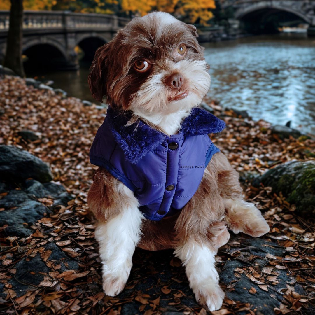 BLUE Impermeable Casual