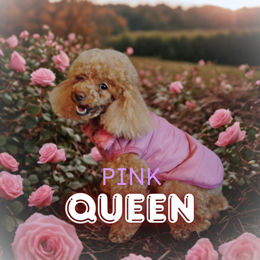 PINK Impermeable Casual