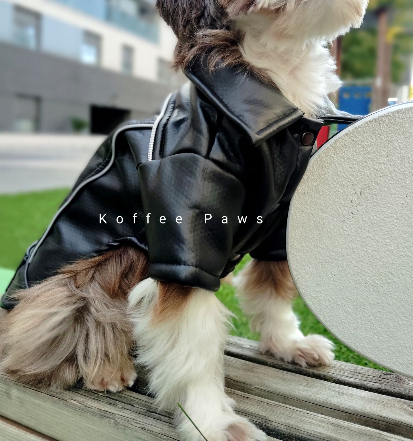 Organic Leather Jacket