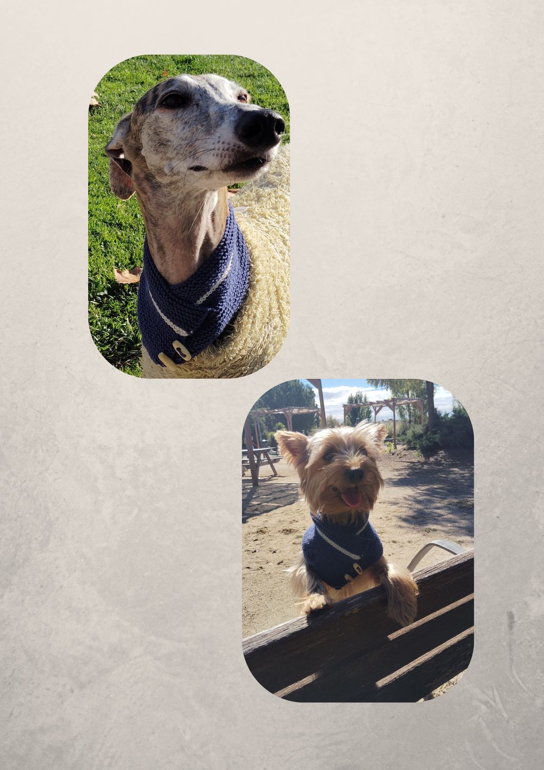 Bufanda Azul con Botón de Madera