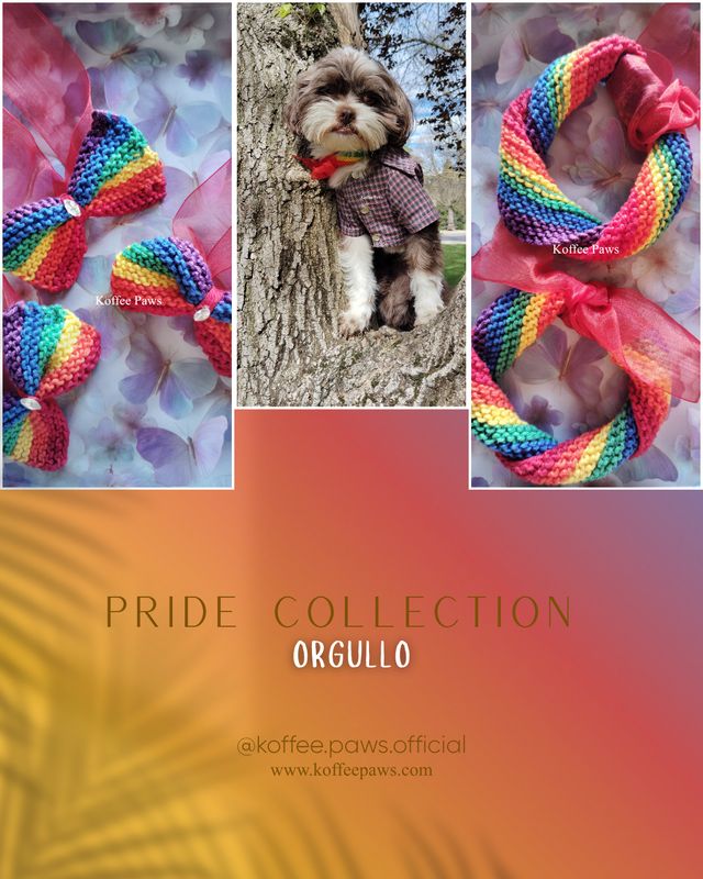 Pride Collection 2026