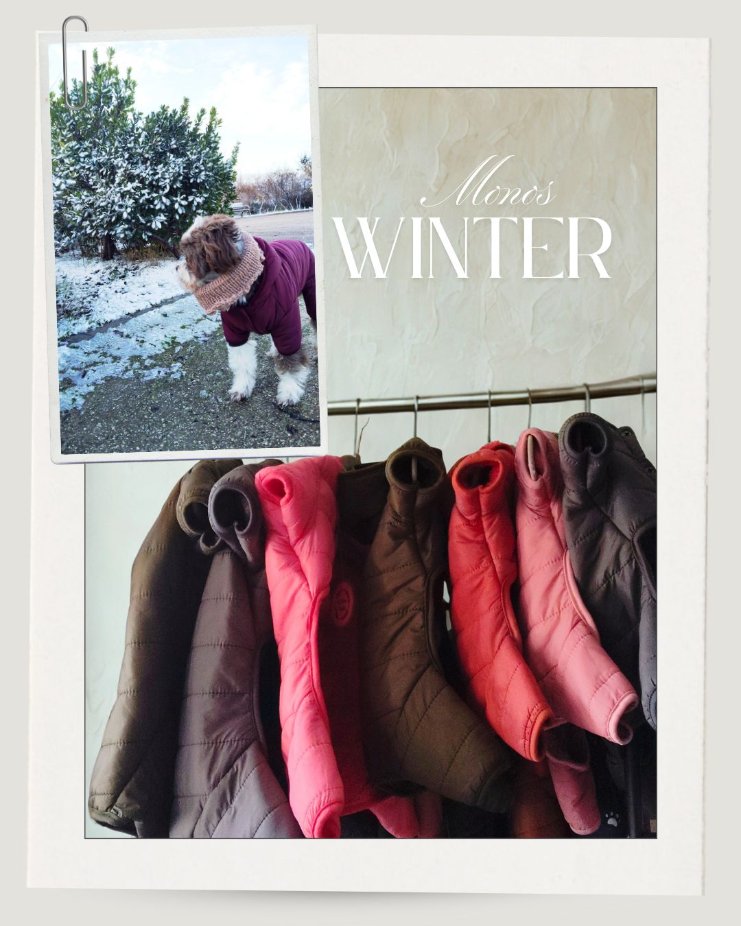 Winter Monos- One Piece suit