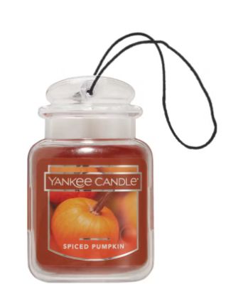 Spiced Pumpkin Hanging Fragnance