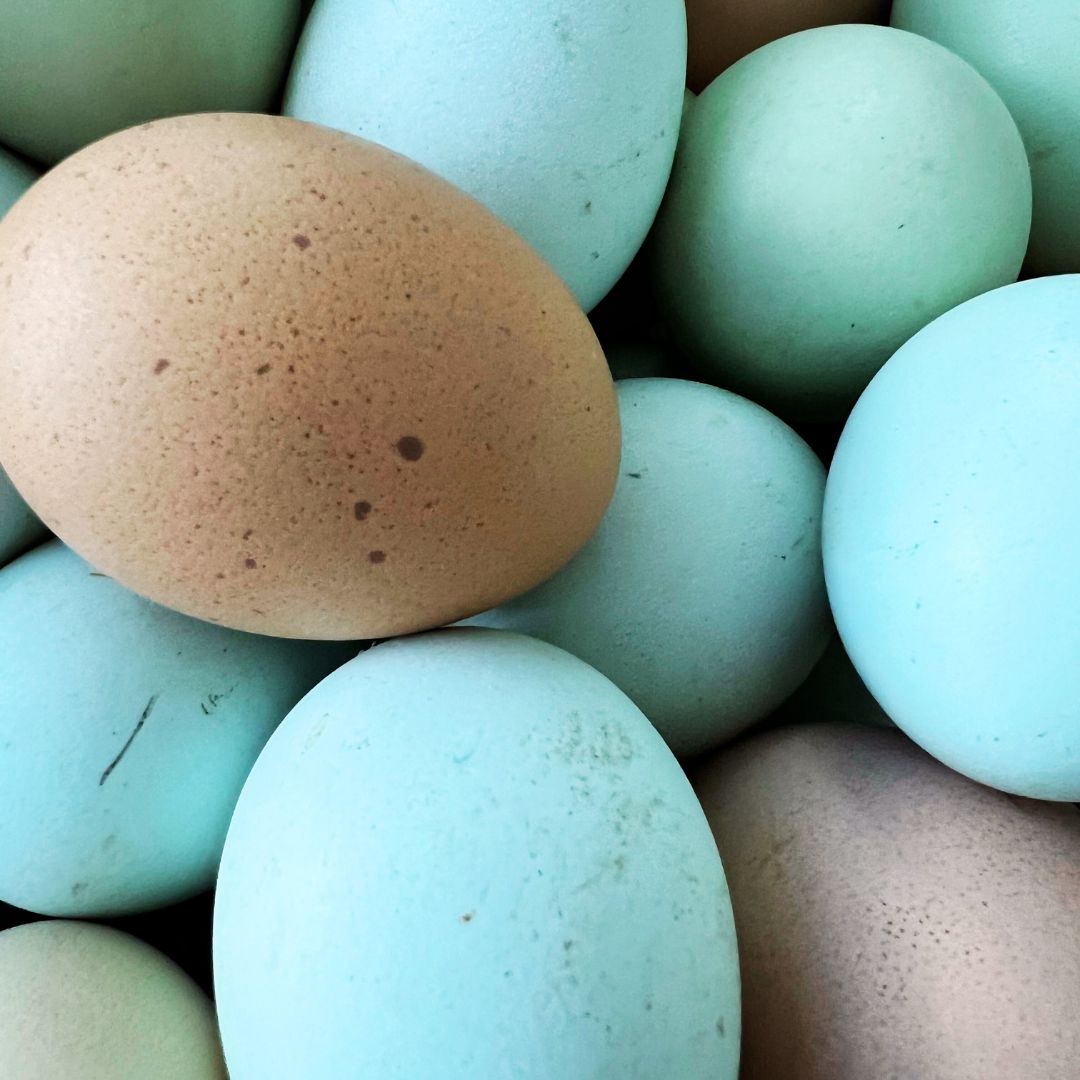Dozen Eggs
